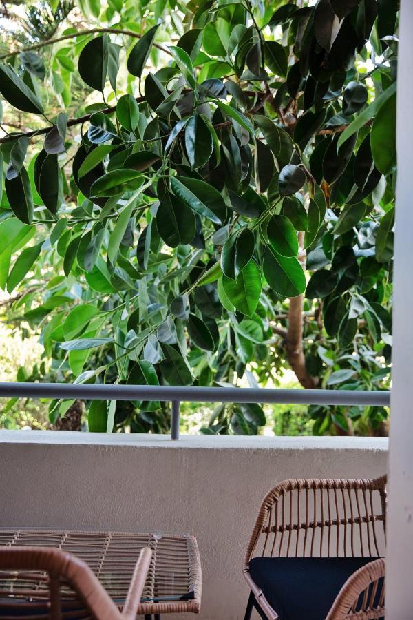 La Vie En Apartamento Rétino